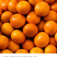 서귀포 로얄과 극조생 제주 감귤 4.5kg