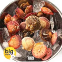 국내산 통영 제철 홍가리비 2kg