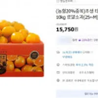 (농할20%중복)조생 타이벡 감귤 10kg 로얄소과(2S~M)