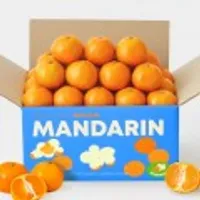 제주 서귀포 산지직송 하우스감귤 2kg 로얄과