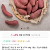 해남 햇 세척 꿀고구마 3kg 베니하루카