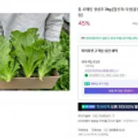 통 로메인 청상추 2kg
