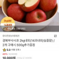 경북 부사 사과 2kg(14과내외)
