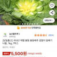 국내산 제철 봄동 봄동배추 겉절이 알배기나물 1kg