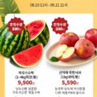 단 하루 특가 수박