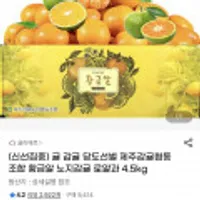 제주감귤협동조합 황금알 노지감귤 로얄과 4.5kg