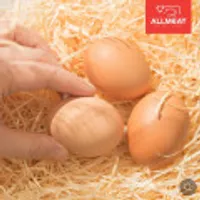 난각번호 1번 동물복지 자연방사 무항생제 유정란 20구