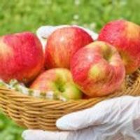 홍로사과 3.5kg 중대과