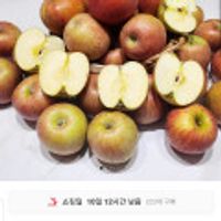 가정용 꼬마 청송 부사사과 2kg 15과내외