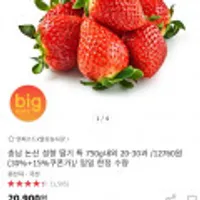 충남 논산 설향 딸기 특 750g내외 20-30과