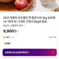 25년 출하 햇 홍로사과 2kg 실속형 14~16과 외