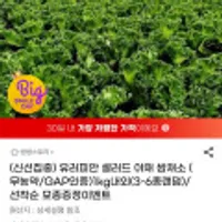 무농약 유러피안 샐러드 1kg내외(3~6종랜덤)