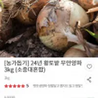 24년 황토밭 무안양파 3kg 혼합사이즈