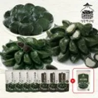 영광떡공방 생모시송편 8팩(동부4팩+검정깨3팩+수제 개떡1팩)