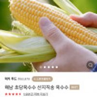 초당옥수수 특상 17cm이상 10개