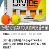 스릭슨 Q-STAR 투어 디바이드 반반 골프볼 골프공 1더즌