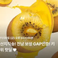 보성 24년 햇수확 골드키위3kg