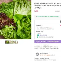 유럽 샐러드 채소 야채 1kg