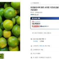제주 서귀포 극조생 감귤 10kg 무배