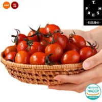 티프레쉬 스테비아 방울토마토 2kg 농협...