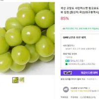 대구 농협입점용 특품 샤인머스켓 1kg 무배