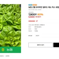 농협 선별 유러피언 샐러드 채소 믹스 유럽식 샐...