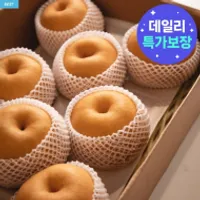 나주배 햇배 5kg 가정용