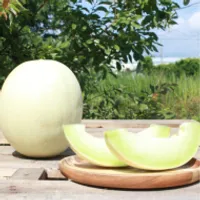 고당도 미국산 허니듀 멜론 2수 6kg내외 ...