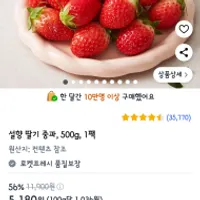 인기글갔던 설향딸기(중과)