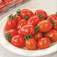 스테비아 대추 방울 토마토 500g x2팩 , 4...