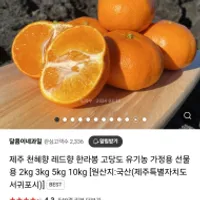네이버 제주 고당도 천혜향 특품 2kg 무배