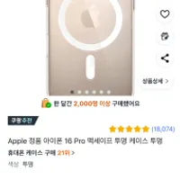 Apple 정품 아이폰 16 Pro 맥세이프 투명 케이스 ...
