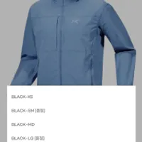 29CM/아크테릭스/감마 라이트웨이트 후디 남성/BLACK