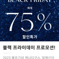 삭스 피프스 에비뉴 블프 핫딜 달리세요