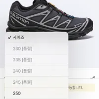 어제 인기글 살로몬 xt-6 고어텍스 에보니