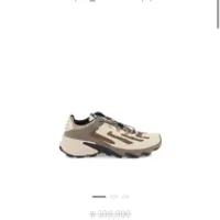 젠테 살로몬 스피드벌스 싸네요