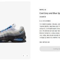 잠시후 10시 에어맥스 95 Cool Grey and Blue Spa...