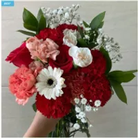 어버이날 생화 카네이션 꽃 선물 준비 /유배