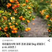 우리들의식탁 제주 조생 감귤 5kg 로얄과 S-M 사이즈