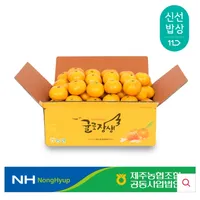 귤로장생 햇 노지감귤 4.5kg 로얄과