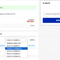 SK하이닉스 Platinum P41 NVMe SSD 2TB 해외직구 (...
