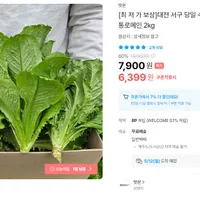 당일 수확 신선한 통로메인 2kg