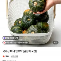 제주 보우짱 미니 단호박 4kg 무배