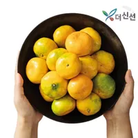 (코인딜) 제주 서귀포 햇 감귤 4.5kg 중대과