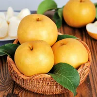 우체국쇼핑 안영일님 나주배 가정용 3kg 5kg