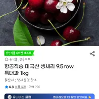 항공직송 미국산 생체리 특대과 1kg 유클가