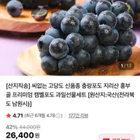 씨없는 고당도 신품종 충랑포도 지리산 흥부골 프리미엄 캠벨포도 과일선물세트 (...