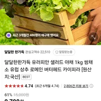 유러피언샐러드 채소 1kg 2종