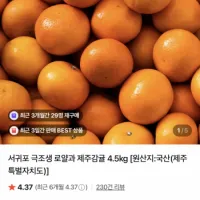 서귀포 극조생 감귤 4.5kg 로얄과