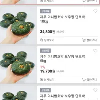 제주 미니 밤호박 보우짱 단호박 2KG